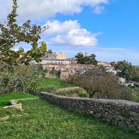 Hidden Gem Of 1900, 7Km From Sea Villa Potamos  Exteriör bild