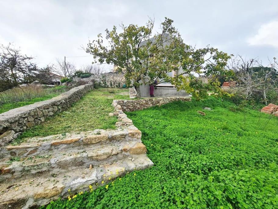Hidden Gem Of 1900, 7Km From Sea Villa Potamos  Exteriör bild